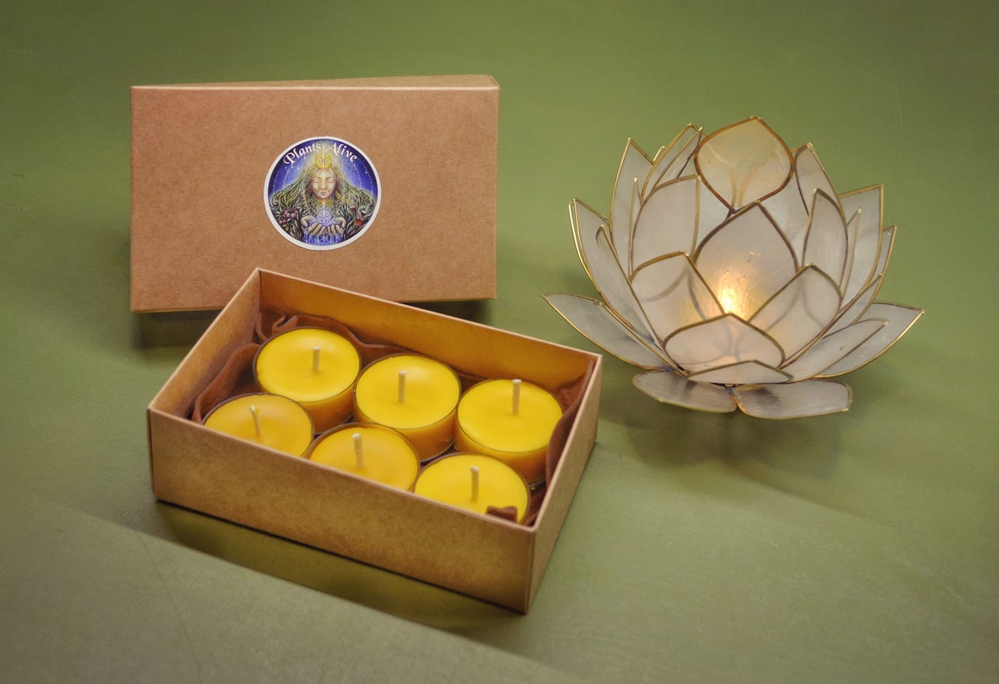 Bičių Vaško Žvakės